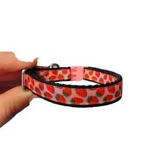 1/2" Strawberries Nylon Dog / Cat Collar