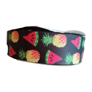 1.5" Wide Pineapple and Watermelon Nylon Dog Collar