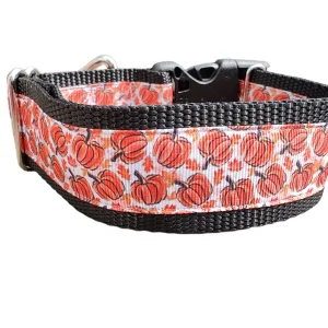 1.5" Wide Pumpkins Nylon Dog Collar