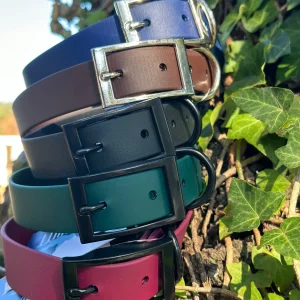 1 in Flat Collars *