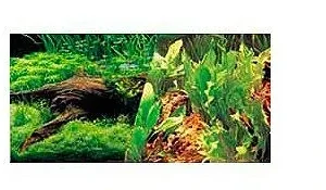 12" High Japanese AquaScape / Freshwater Aquarium Background