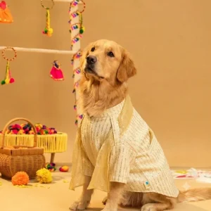 15 Furries Furwali Festival Kurta with Dupatta for Dogs (Ivory White)