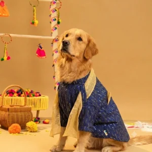 15 Furries Furwali Festival Kurta with Dupatta for Dogs (Royal Blue)