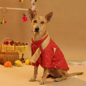 15 Furries Furwali Festival Kurta with Dupatta for Dogs (Royal Red)