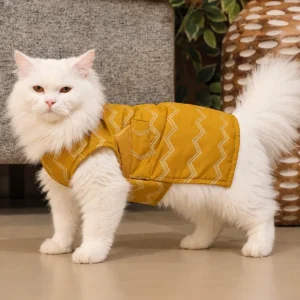 15 Furries Jashn Mustard Sherwani for Cats (Yellow/Gold)