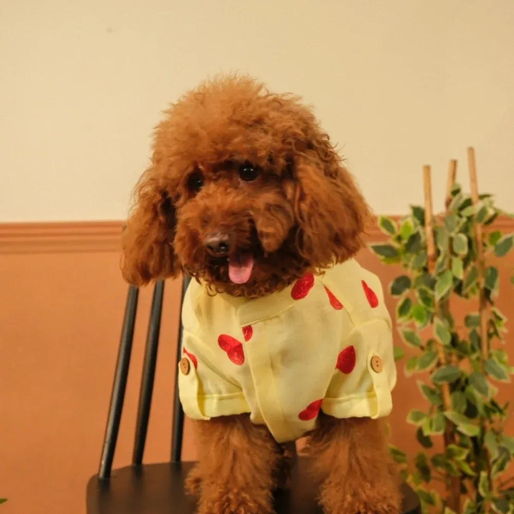 15 Furries Linen Heart Embroidered Kurta for Dogs (Lemon Yellow) - Image 2