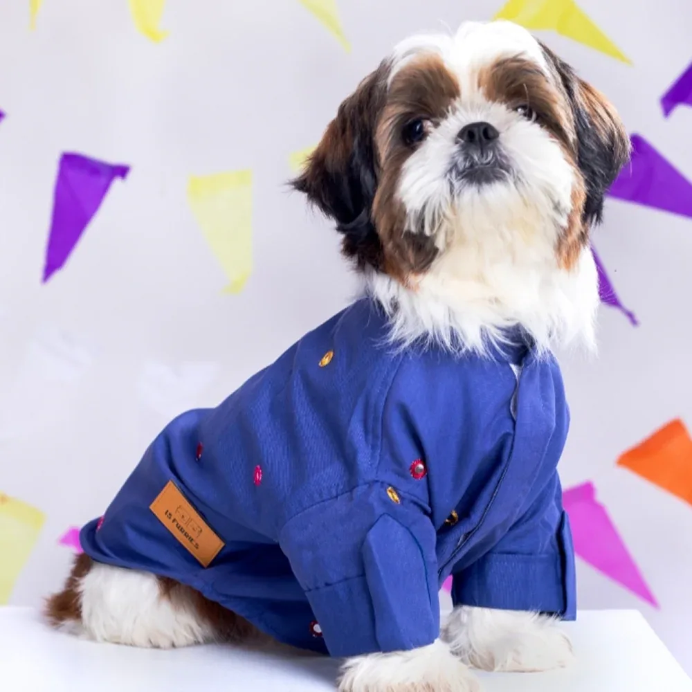 15 Furries Mirrorwork Kurta for Dogs (Persian Blue)
