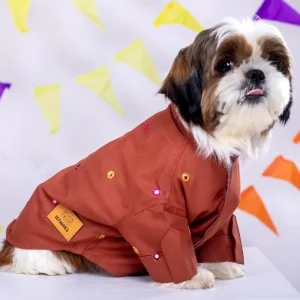 15 Furries Mirrorwork Kurta for Dogs (Rust Orange)