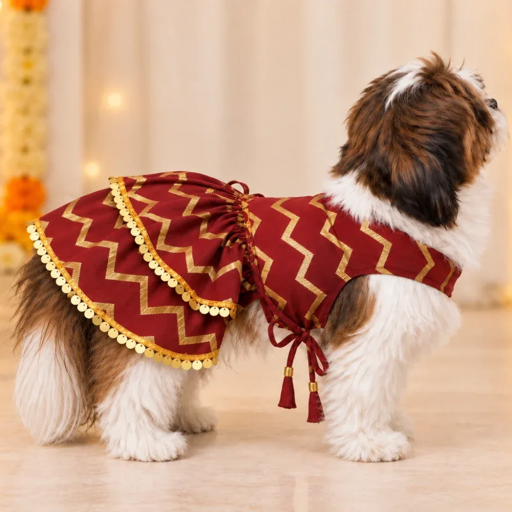 15 Furries Zari Gold Lehenga for Dogs & Cats (Maroon Red) - Image 2