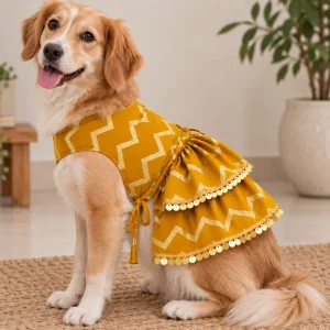 15 Furries Zari Gold Lehenga for Dogs & Cats (Mustard Yellow)