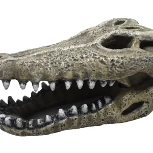 2" Gator Skull Resin Ornament - MAP Price $8.29