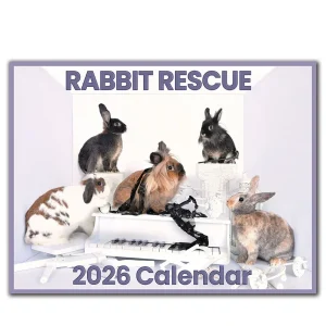 2026 Rabbit Rescue Calendar | SALE! The perfect gift at a discount!