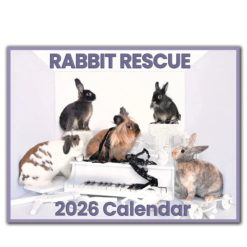2026 Rabbit Rescue Calendar | SALE! The perfect gift at a discount!