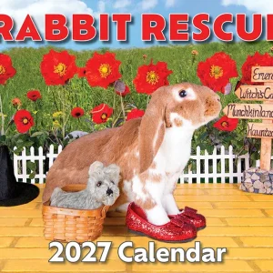 2027 Rabbit Rescue Calendar | NEW