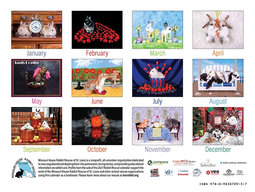 2027 Rabbit Rescue Calendar | NEW - Image 2