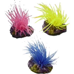 3.1" Anemone on Rock Resin Ornament - Map Price $8.99