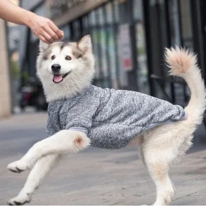 3XL