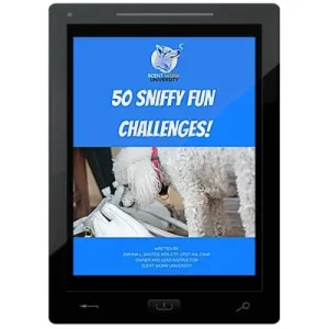 50 Sniffy Fun Challenges E
