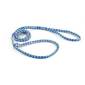 60" Braided Dog Leads Blue & White, 12 Pack