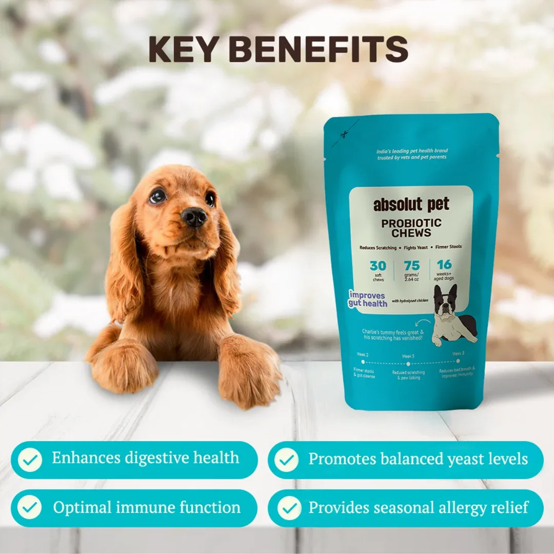 Absolut Pet Probiotics Gut Health Dog Supplements - Image 2