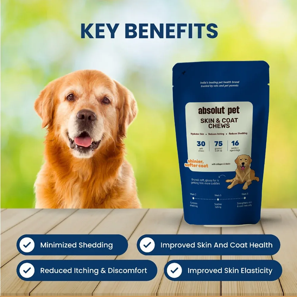 Absolut Pet Skin & Coat with Collagen and Biotin Dog Supplements - Image 2