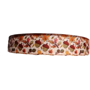 Acorn Woods Nylon Dog Collar