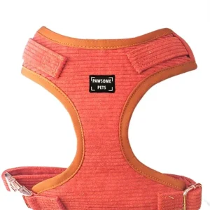 Adjustable Dog Harness, Carrot