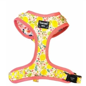 Adjustable Dog Harness, Oh My Lemon