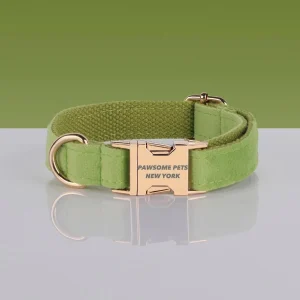 Adjustable Nylon Dog Collar - Quick-Release Buckle