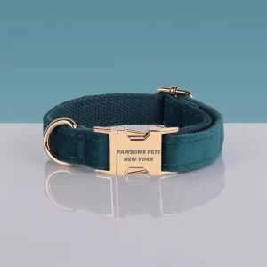 Adjustable Nylon Dog Collar - Quick-Release Buckle