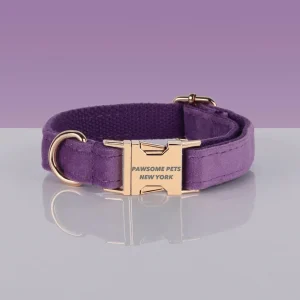Adjustable Nylon Dog Collar - Quick-Release Buckle