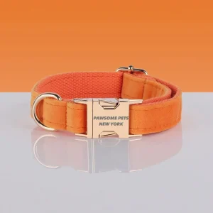 Adjustable Nylon Dog Collar - Quick-Release Buckle