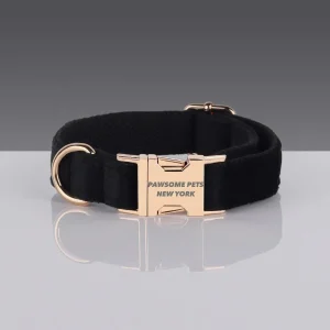 Adjustable Nylon Dog Collar - Quick-Release Buckle