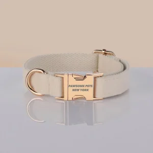 Adjustable Nylon Dog Collar - Quick-Release Buckle