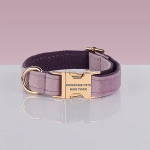Adjustable Nylon Dog Collar - Quick-Release Buckle