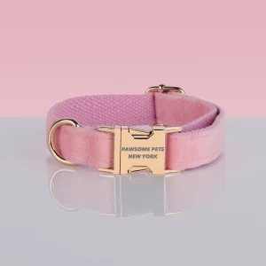 Adjustable Nylon Dog Collar - Quick-Release Buckle