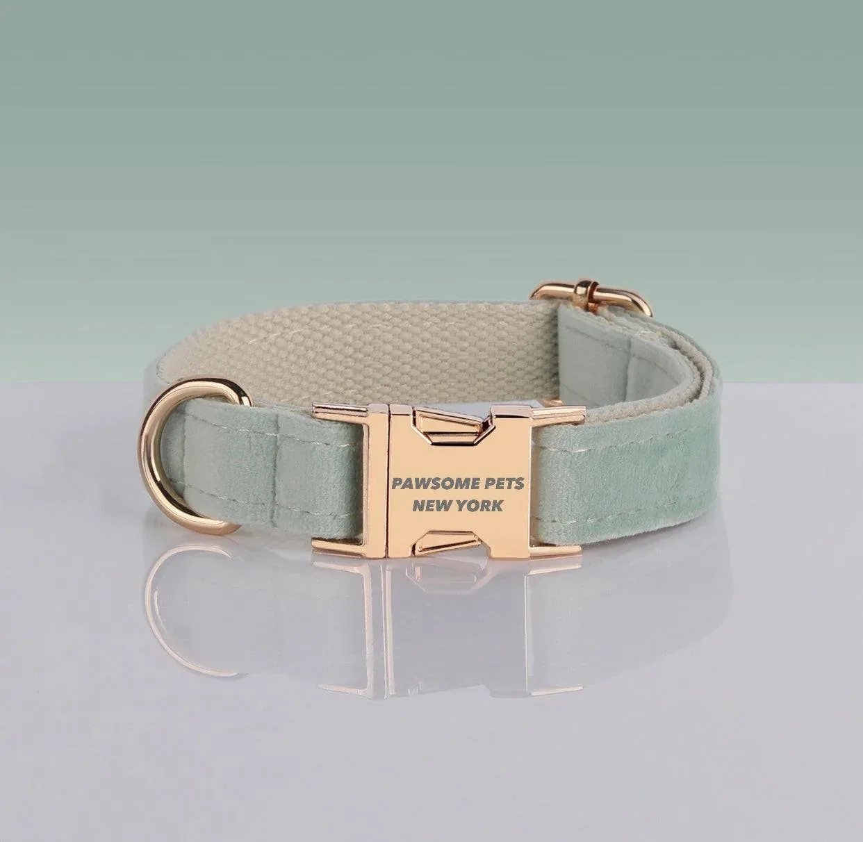 Adjustable Nylon Dog Collar - Quick-Release Buckle