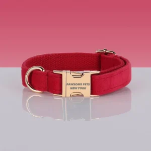 Adjustable Nylon Dog Collar - Quick-Release Buckle