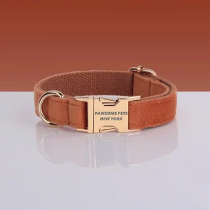 Adjustable Nylon Dog Collar - Quick-Release Buckle