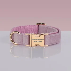 Adjustable Nylon Dog Collar - Quick-Release Buckle