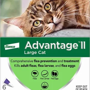 Advantage II Cat Large Purple 6 ct