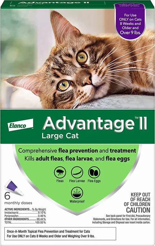Advantage II Cat Large Purple 6 ct