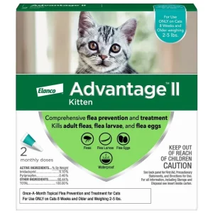Advantage II Kitten Turquoise 2 ct