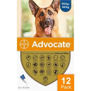 Advantage Multi (Advocate) Dogs Over 55lbs (25kg)
