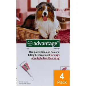 Advantage Red Dogs 22