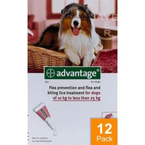 Advantage Red Dogs 22