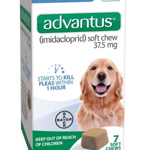 Advantus Dog Large 37.5Mg Soft Dog Chew 7 ct