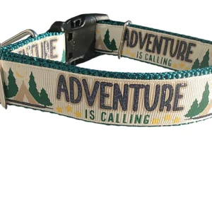 Adventure Is Calling Glitter Nylon Dog Collar