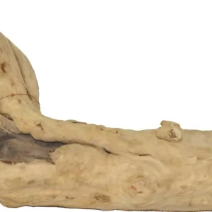 A&E Cages Java Wood Reptile Branch Medium