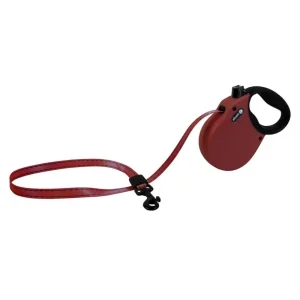 Alcott Adventure Retractable Belt Dog Leash - Red (X-Small, 10 ft)